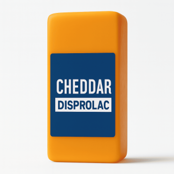 queso cheddar disprolac